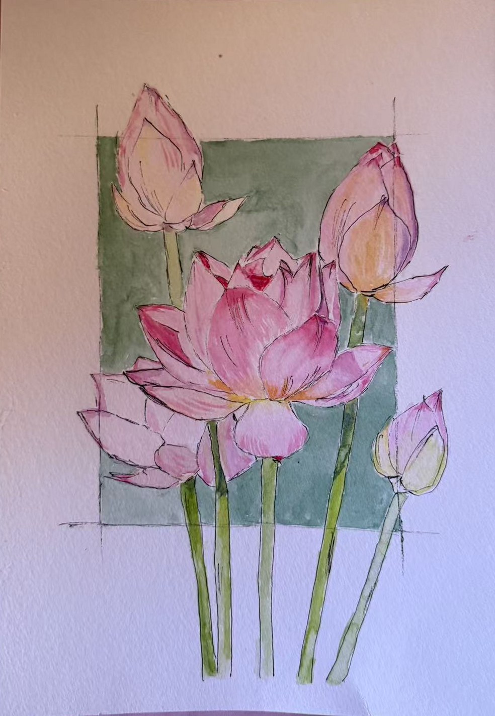 Watercolour of pink lotus flowers and buds